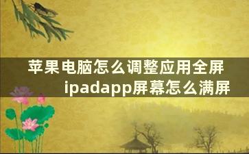 苹果电脑怎么调整应用全屏 ipadapp屏幕怎么满屏